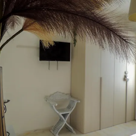 Dolphin House Apartment